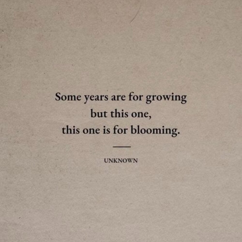 Robin here...Tweet...Tweet 🐦🐦🐦 - Picture 6 of 9